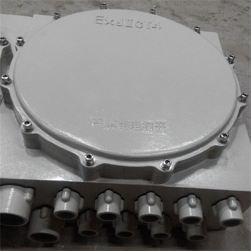 202102287311.jpg 防爆箱IIC.jpg